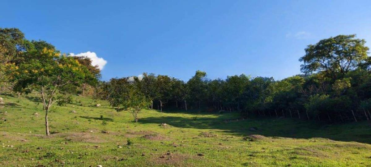 Fazenda, Area Rural de Santa Luzia, 0 Quarto, 0 Vaga