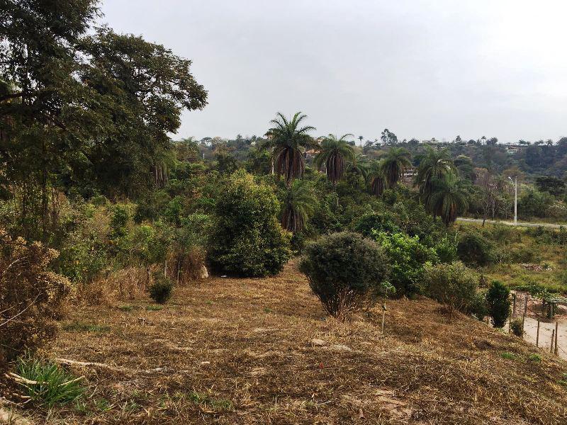 Lote, Condomínio Solar das Palmeiras, 0 Quarto, 0 Vaga