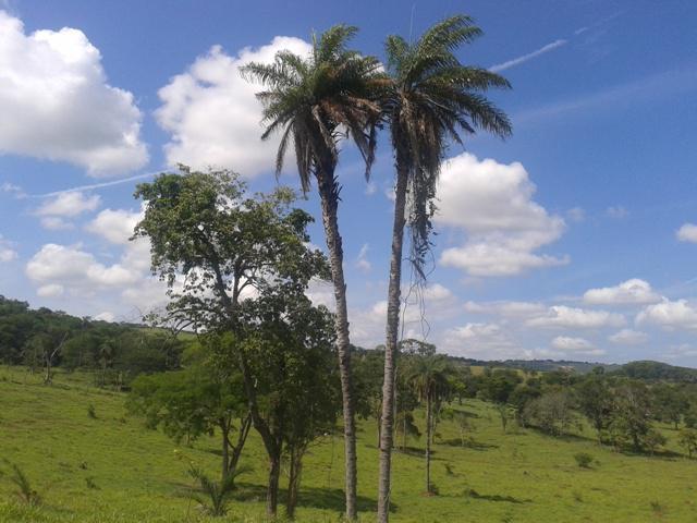 Lote, Sobradinho