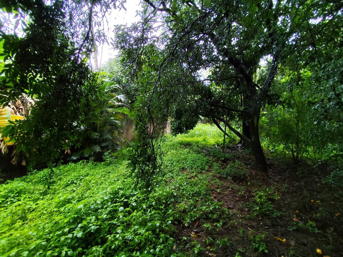 Lote, Trevo, 0 Quarto, 0 Vaga