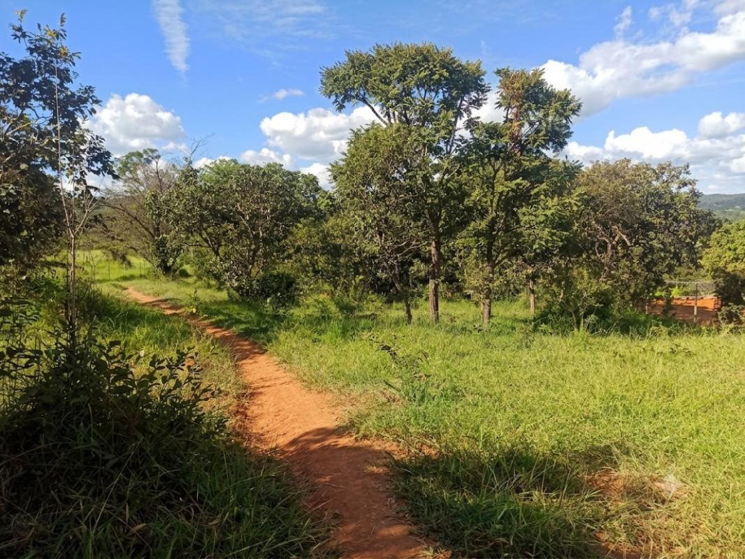 Lote, Vargem Bento da Costa, 0 Quarto, 0 Vaga