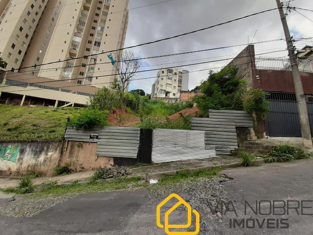 Lote, Nova Suíssa