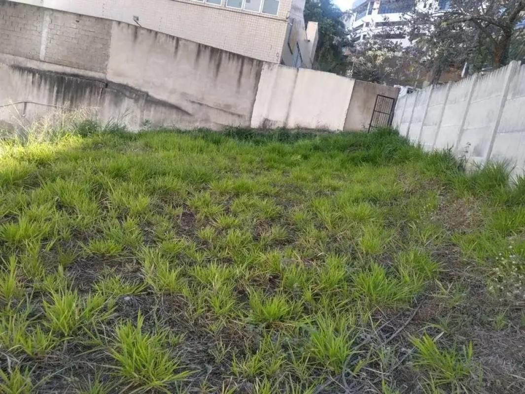 Lote, Estoril, 0 Quarto, 0 Vaga