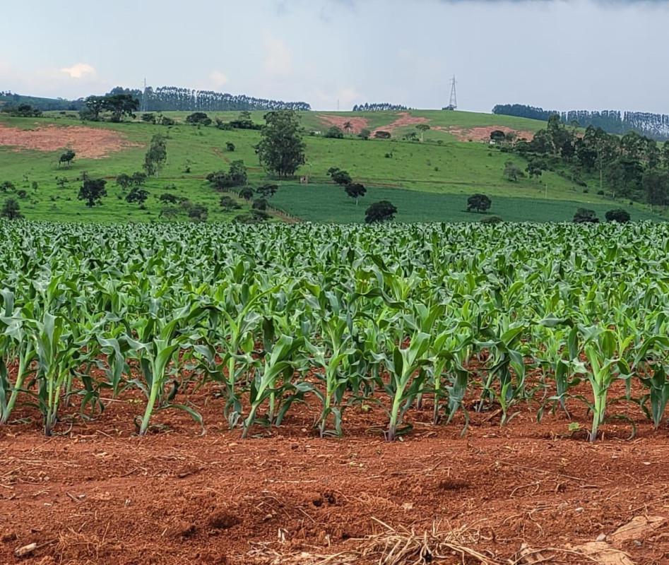 Fazenda, Zona Rural, 0 Quarto, 0 Vaga