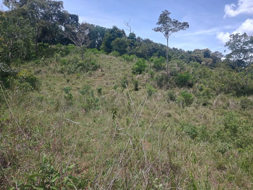 Fazenda, Centro, 0 Quarto, 0 Vaga