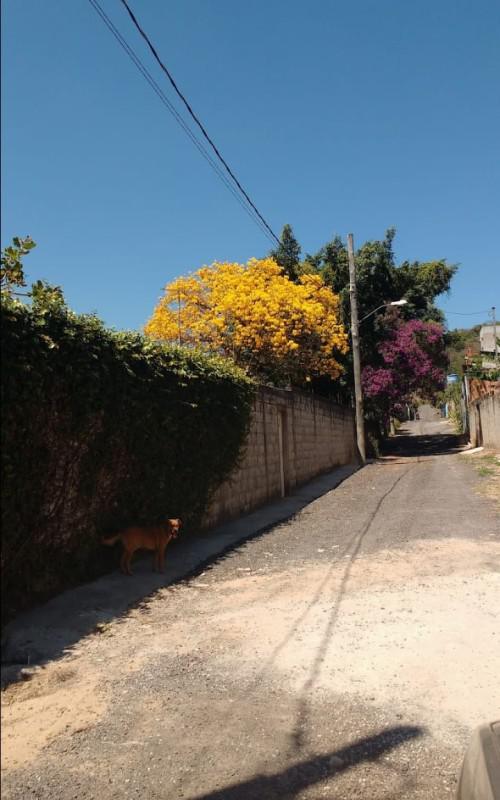 Fazenda, Bom Destino, 4 Quartos, 10 Vagas