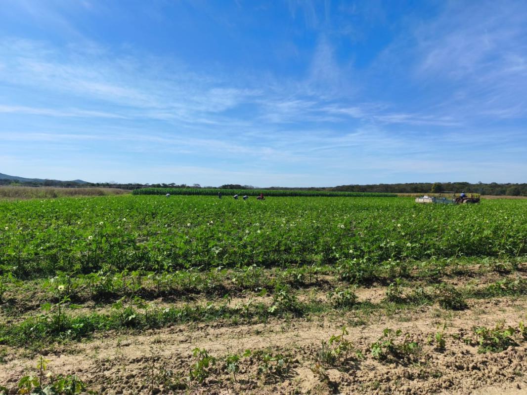 Fazenda, Centro, 0 Quarto, 0 Vaga