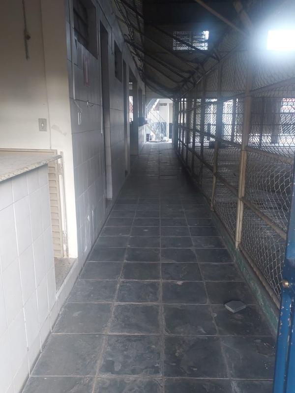 Galpão, Cinquentenário