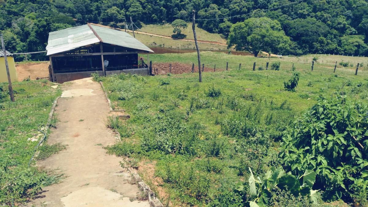 Fazenda, Zona Rural, 3 Quartos, 0 Vaga