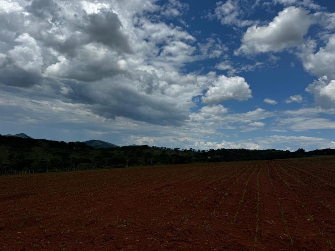 Lote, Centro, 0 Quarto, 0 Vaga