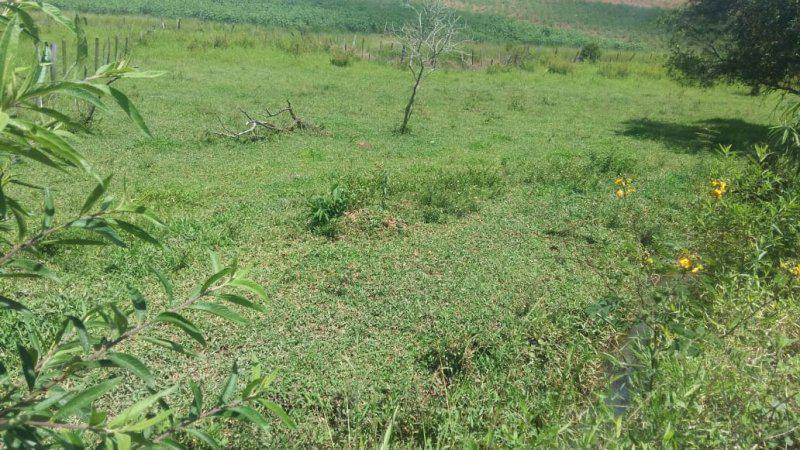 Fazenda, Guedes, 0 Quarto, 0 Vaga