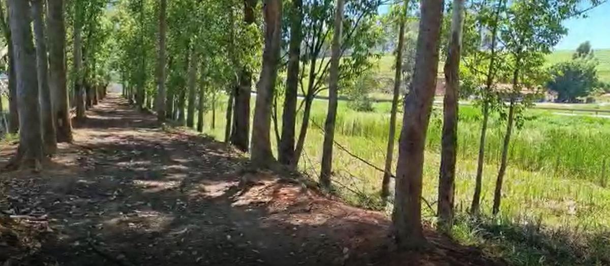 Fazenda, Centro, 0 Quarto, 0 Vaga