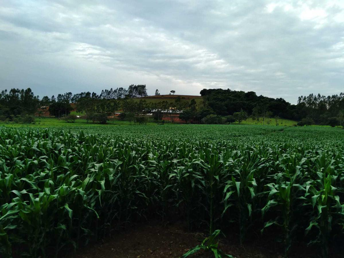 Fazenda, Zona Rural, 3 Quartos, 0 Vaga