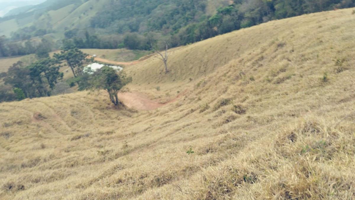 Fazenda, Zona Rural, 0 Quarto, 0 Vaga
