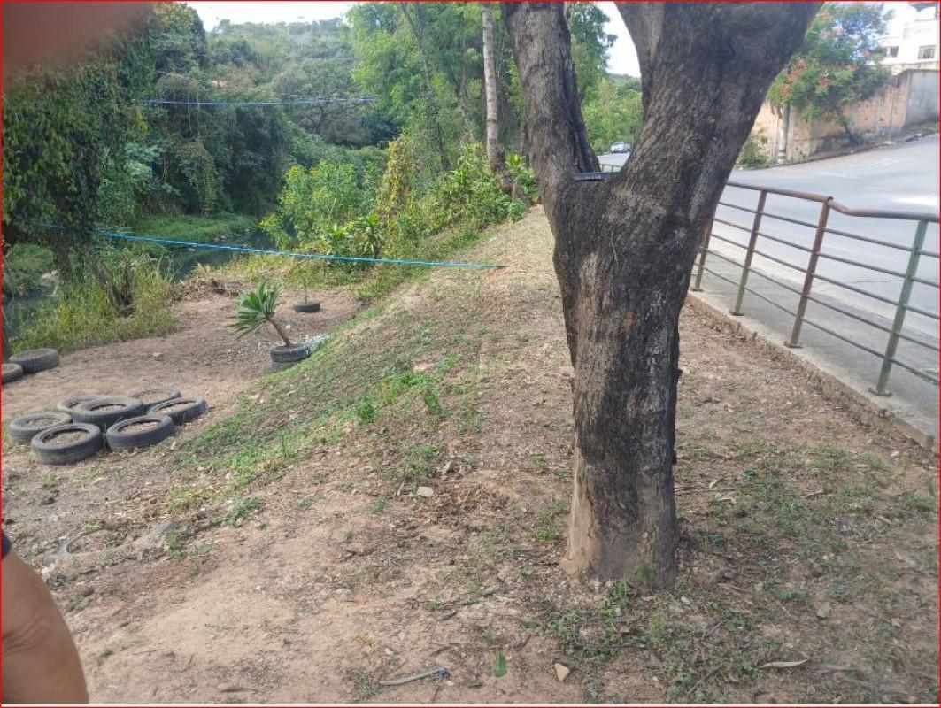 Lote, Floramar, 0 Quarto, 0 Vaga
