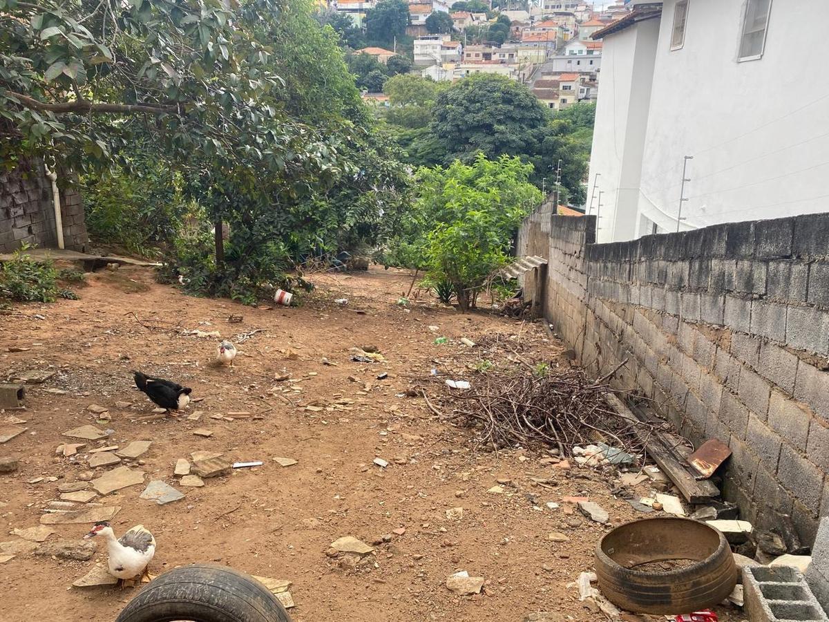 Lote, Três Bicas, 0 Quarto, 0 Vaga