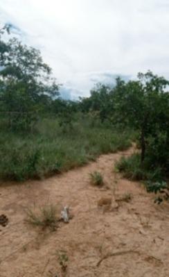 Fazenda, Zona Rural, 3 Quartos, 0 Vaga