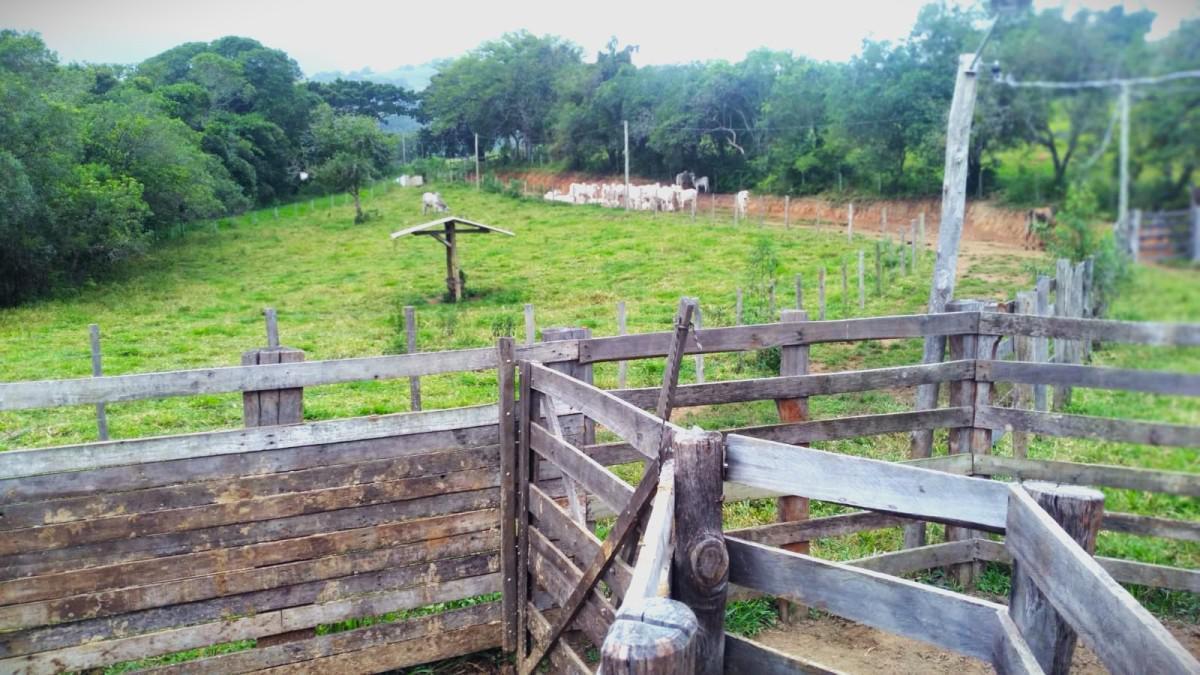 Fazenda, Zona Rural, 0 Quarto, 0 Vaga