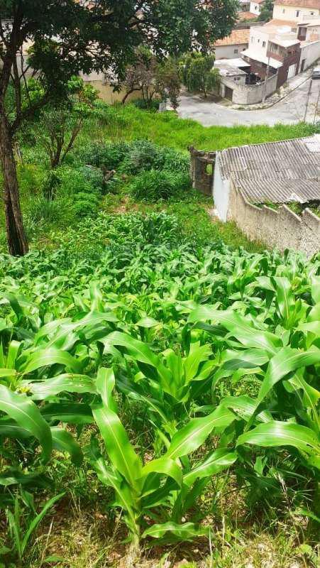 Lote, Dom Bosco, 0 Quarto, 0 Vaga