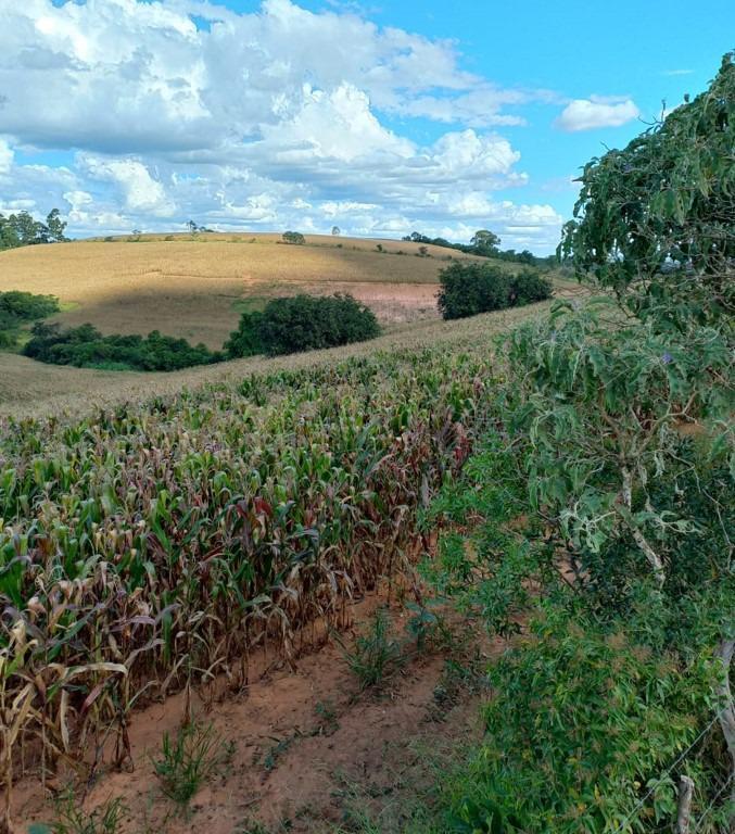 Fazenda, Centro, 3 Quartos, 0 Vaga