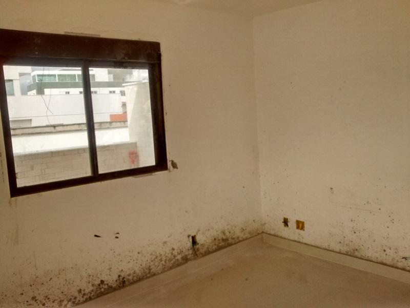 Apartamento, Castelo, 3 Quartos, 2 Vagas, 1 Suíte