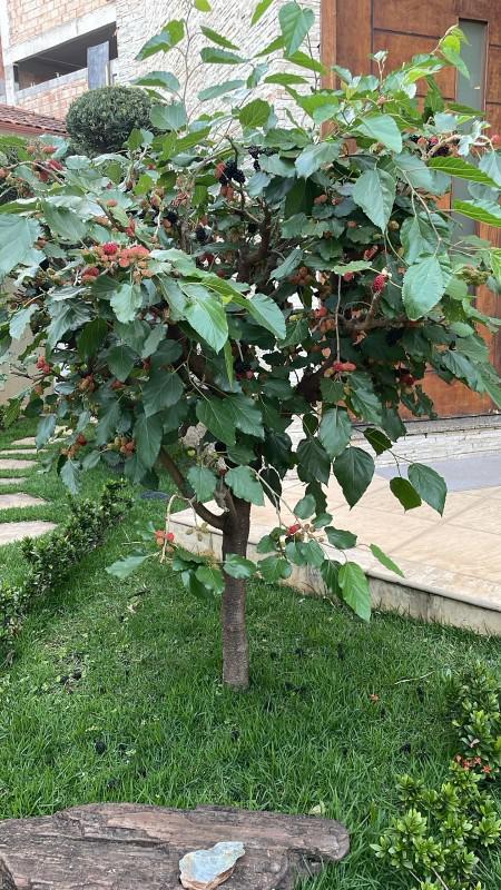 Casa, Jardim Riacho das Pedras, 3 Quartos, 4 Vagas, 1 Suíte