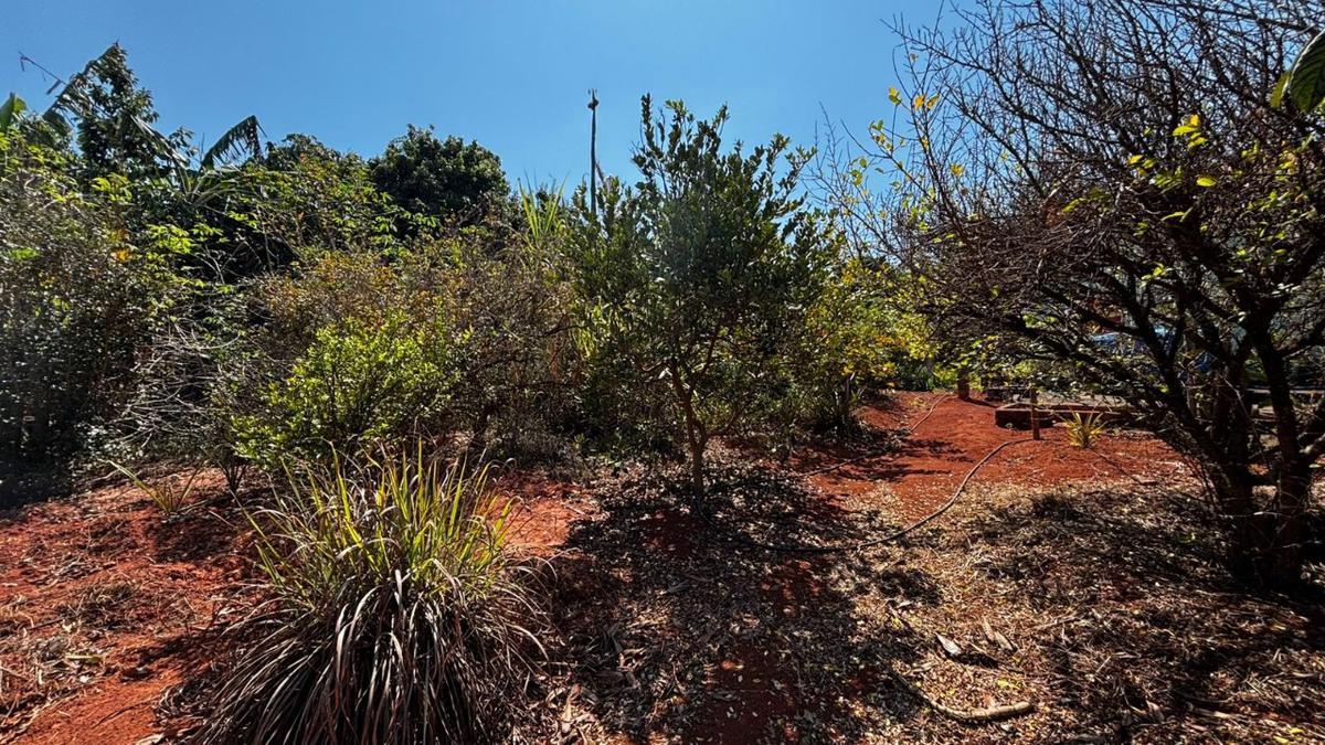 Fazenda, Zona Rural, 3 Quartos, 2 Vagas, 1 Suíte