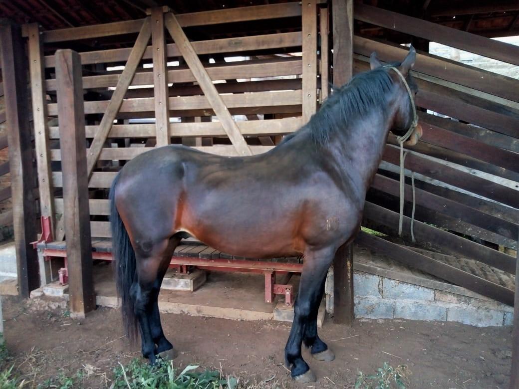 Fazenda, Centro, 1 Quarto, 1 Vaga, 1 Suíte