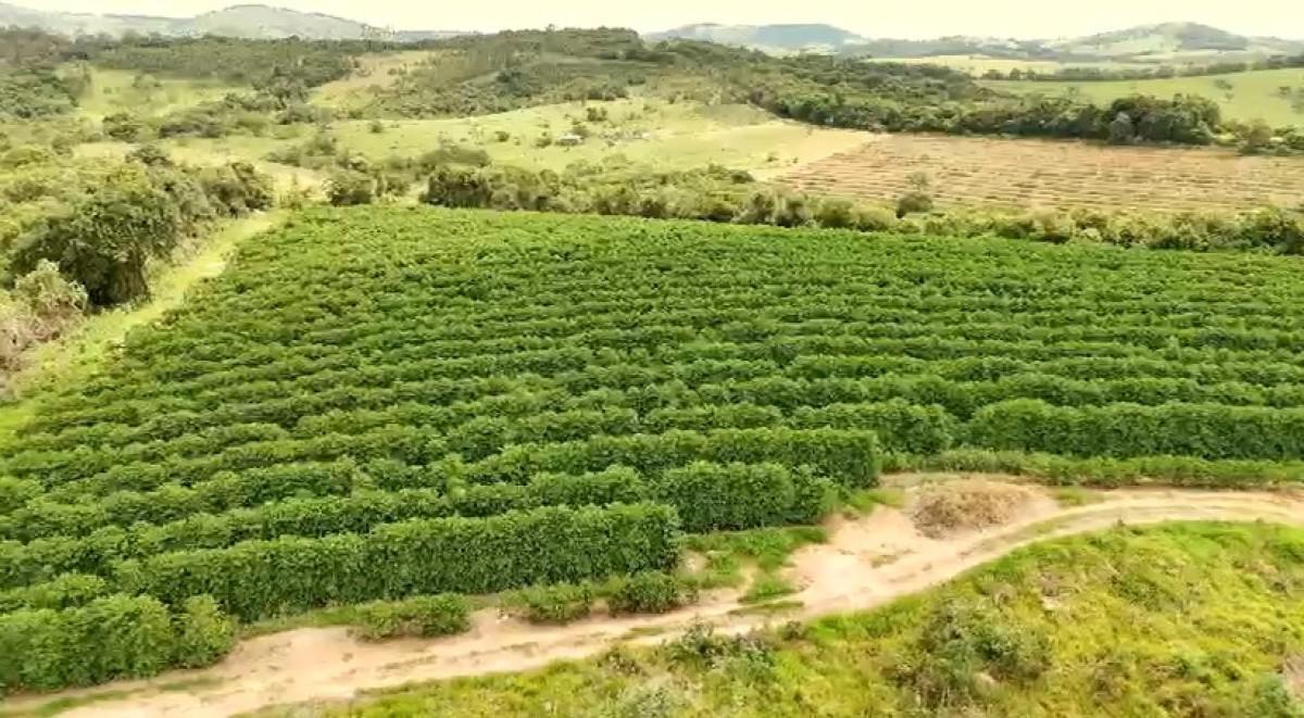Fazenda, Zona Rural, 0 Quarto, 0 Vaga