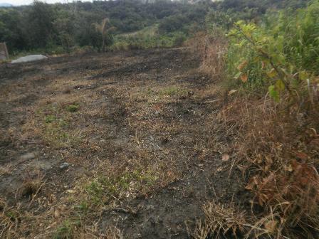 Lote, Estaleiro, 0 Quarto, 0 Vaga