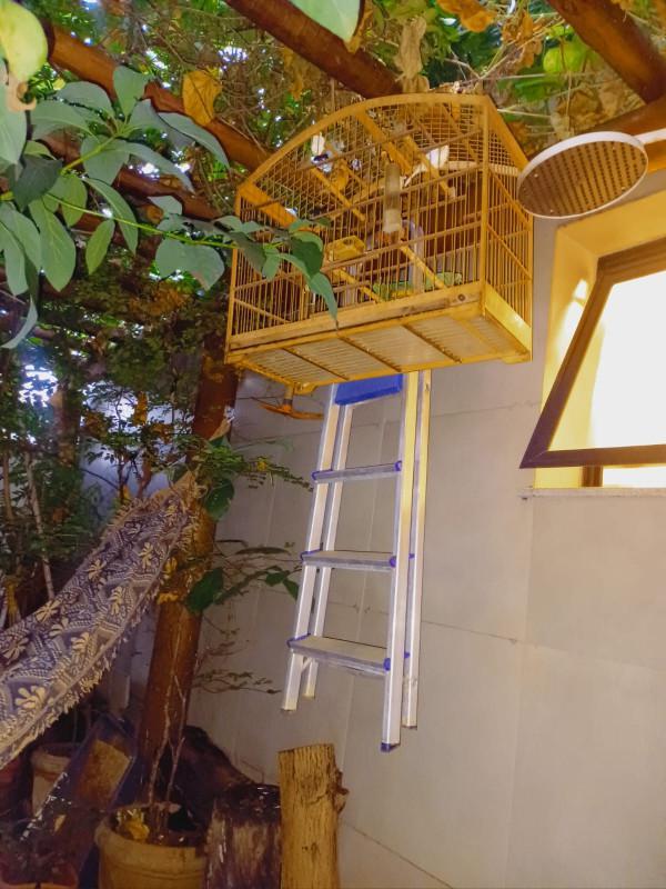 Apartamento, Coração Eucarístico, 1 Quarto, 2 Vagas