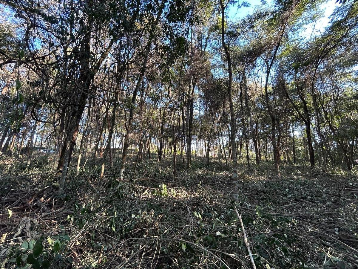 Lote, Centro, 0 Quarto, 0 Vaga