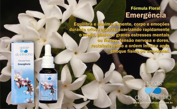 Florais No Tratamento de Animais