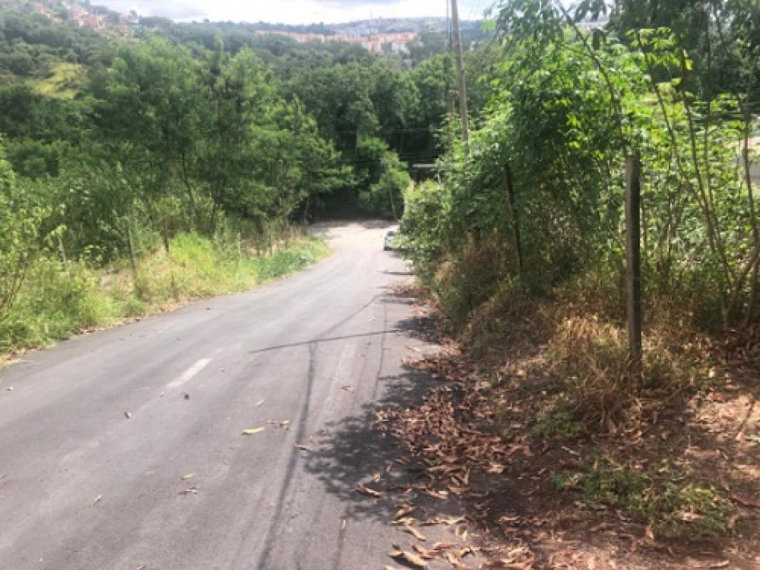 Lote, Borges, 0 Quarto, 20 Vagas