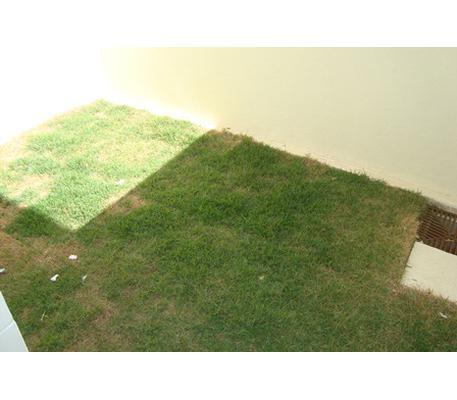 Casa, Piratininga (venda Nova), 2 Quartos, 1 Vaga