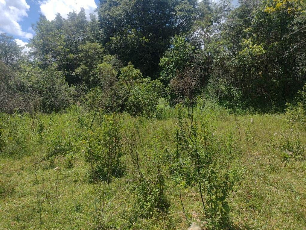 Fazenda, Adelmolândia, 0 Quarto, 0 Vaga