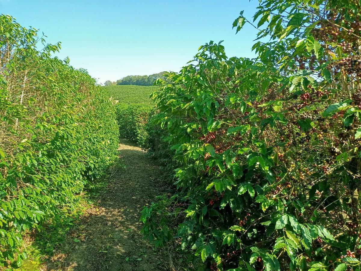 Fazenda, Zona Rural, 0 Quarto, 0 Vaga