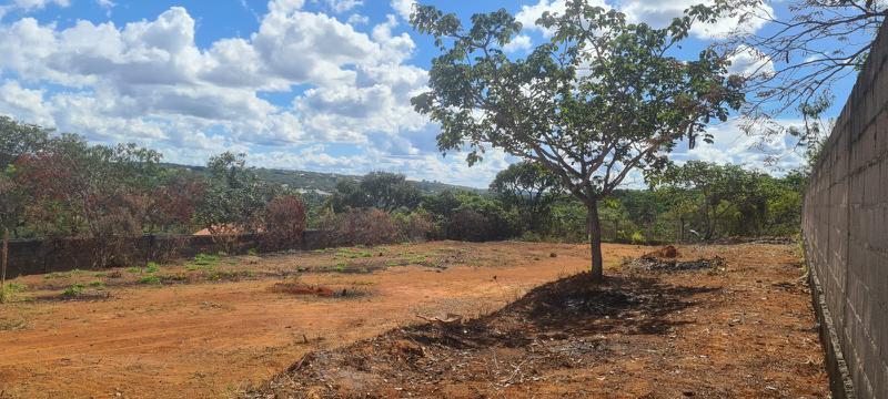 Lote, Lagoa Mansões