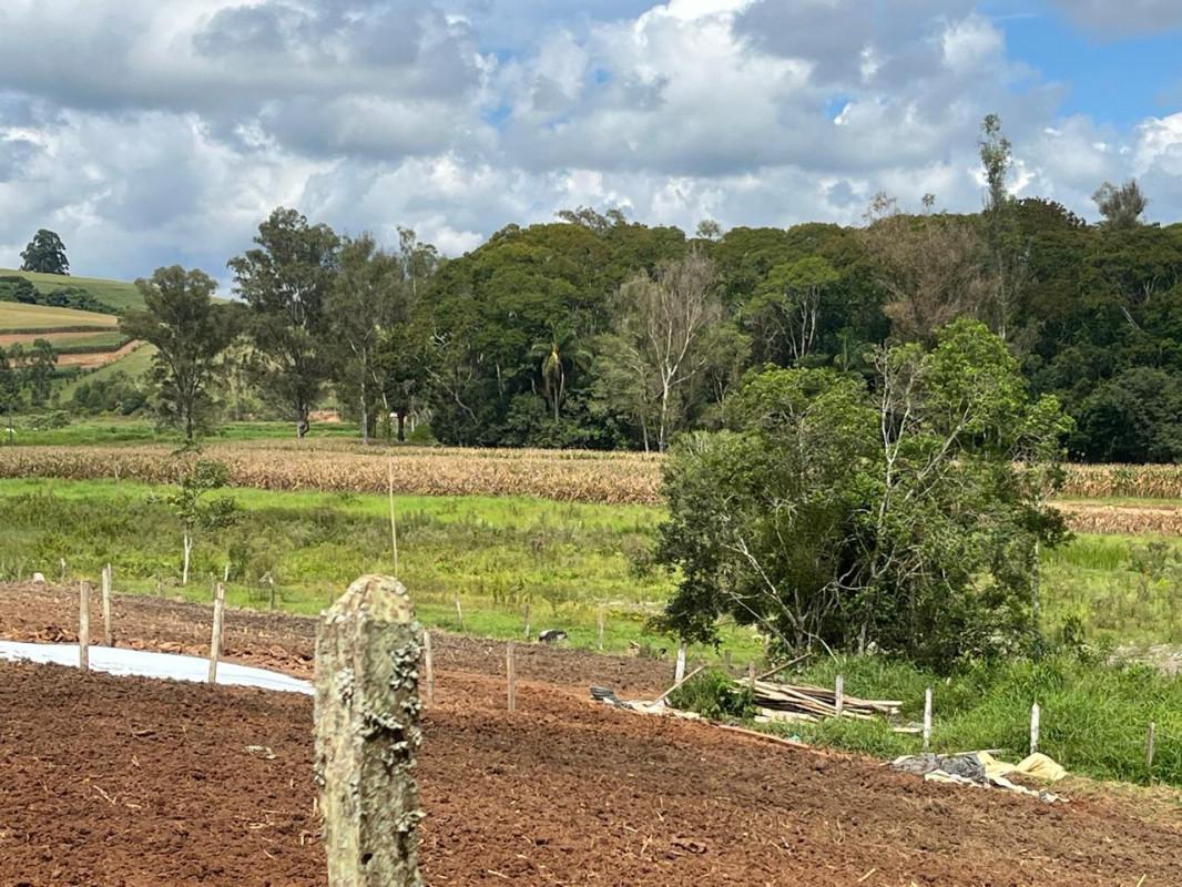 Fazenda, Zona Rural, 0 Quarto, 0 Vaga