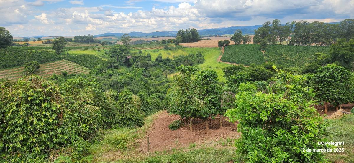 Fazenda, Zona Rural, 0 Quarto, 0 Vaga