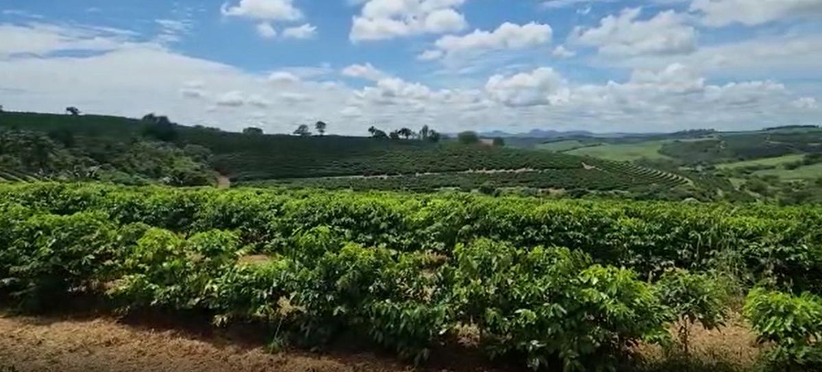 Fazenda, Zona Rural, 3 Quartos, 3 Vagas