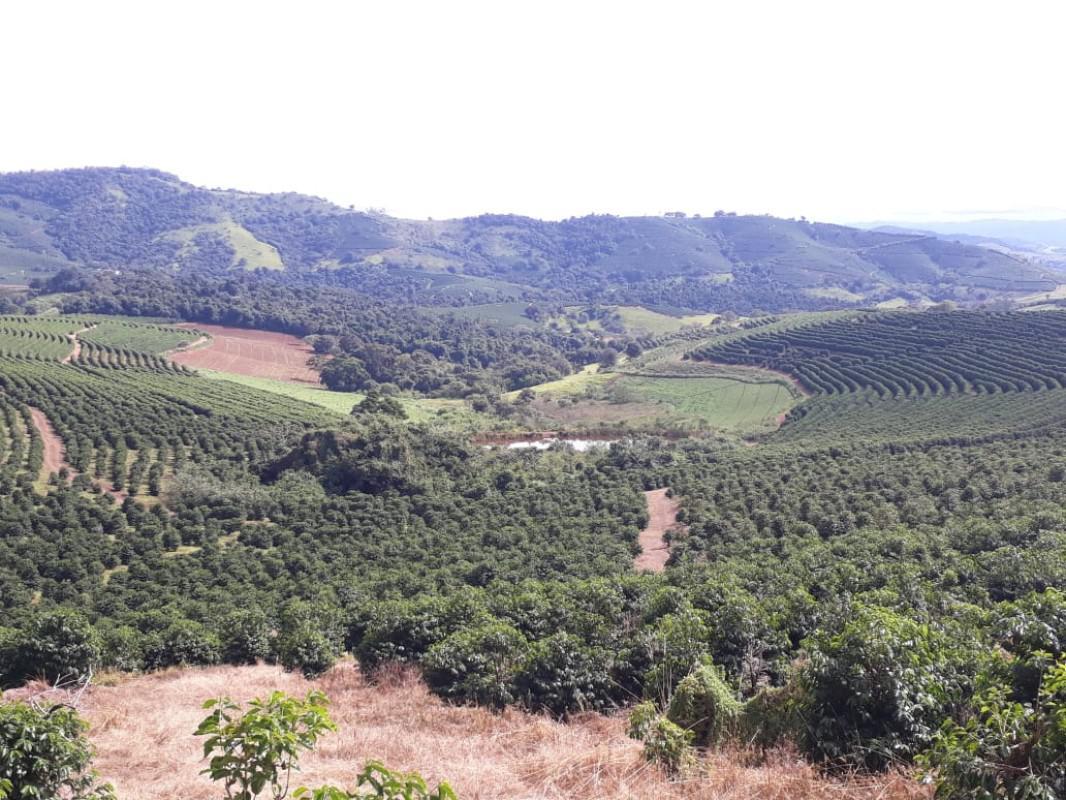 Fazenda, Zona Rural, 4 Quartos, 0 Vaga, 1 Suíte
