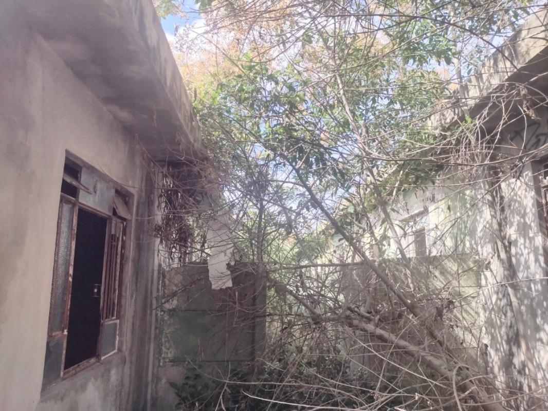 Lote, Novo Progresso, 0 Quarto, 0 Vaga