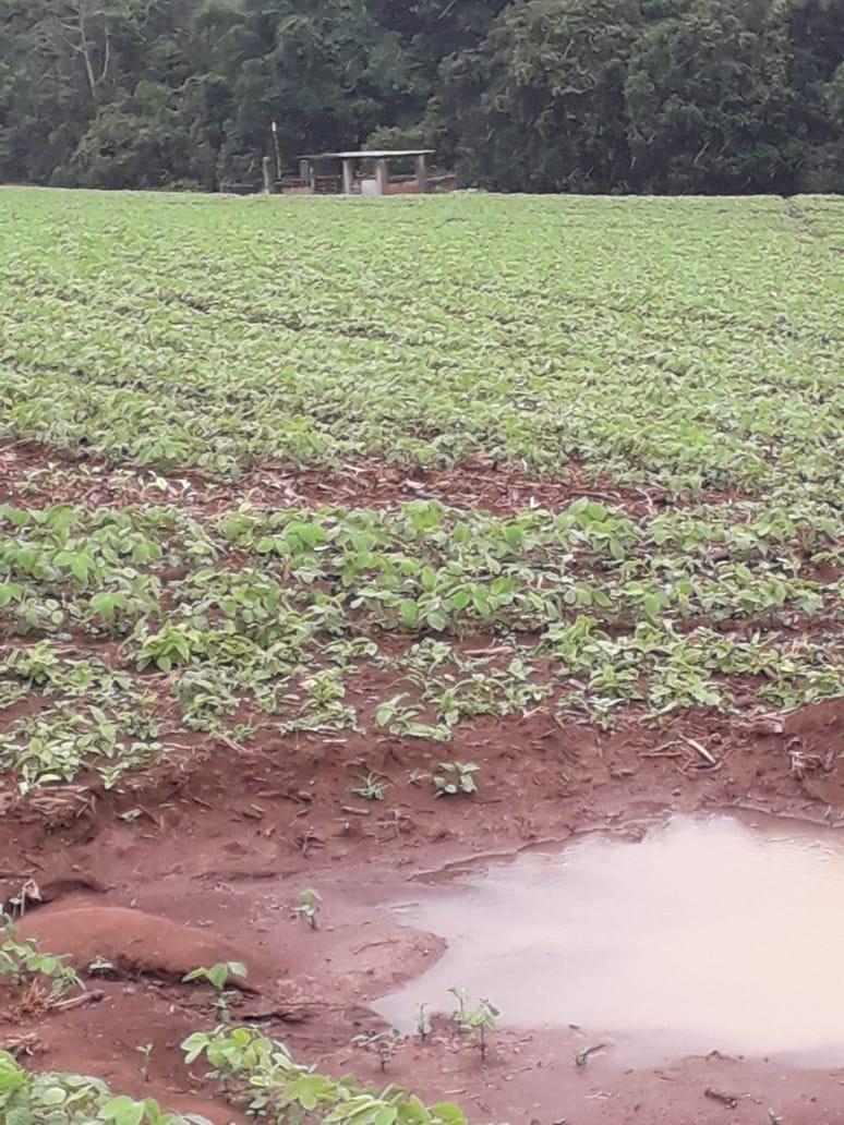 Fazenda, Centro, 1 Quarto, 1 Vaga, 1 Suíte