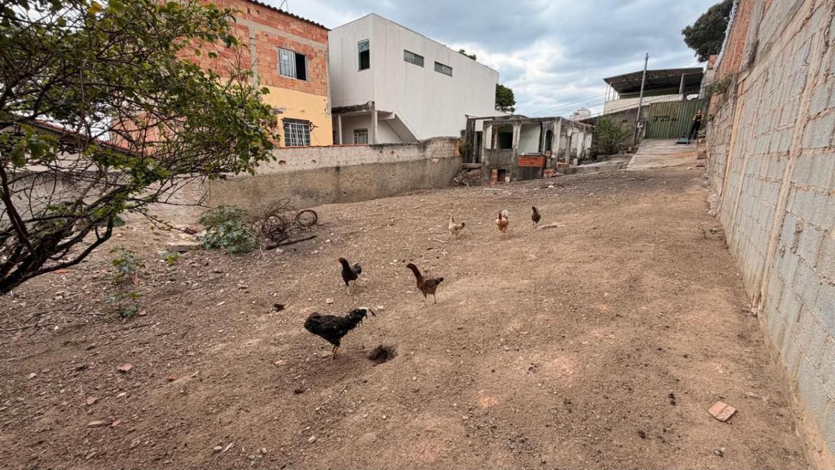 Lote, Niterói, 0 Quarto, 10 Vagas