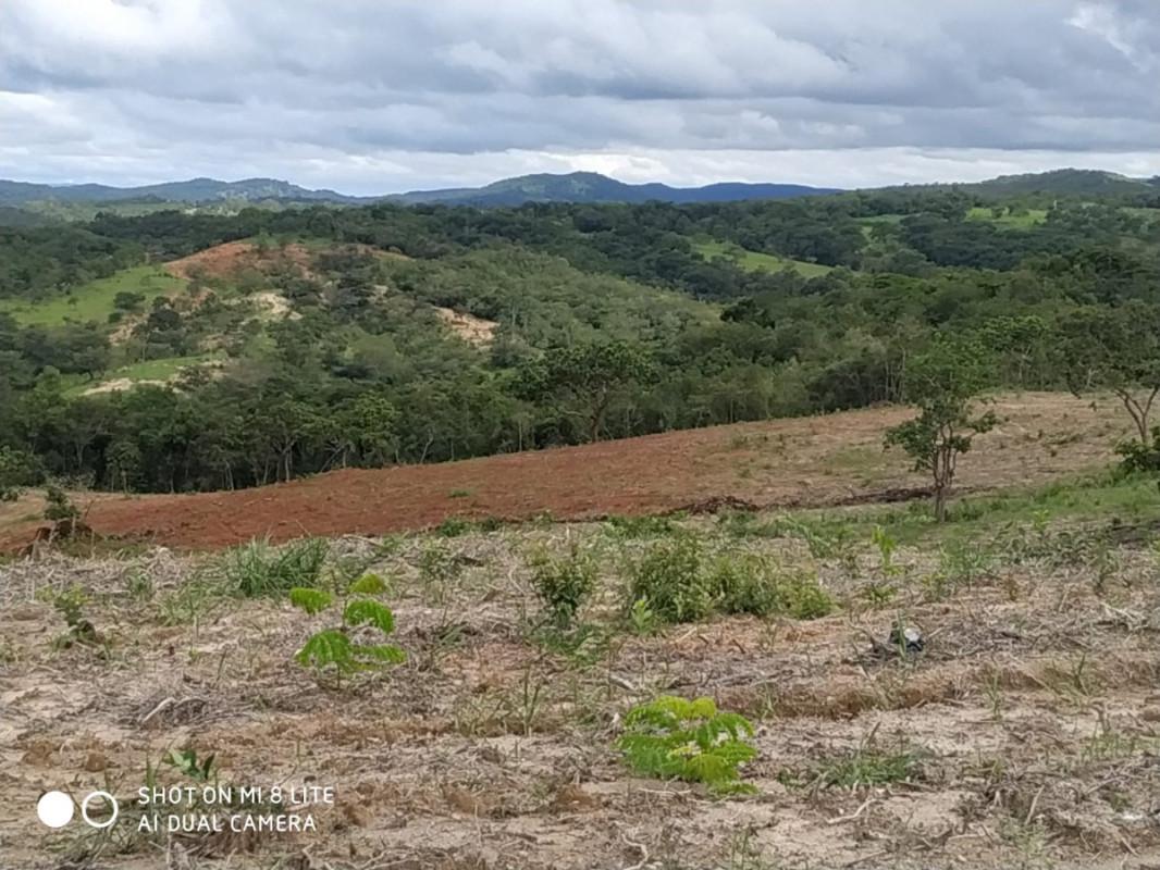 Fazenda, Centro, 0 Quarto, 0 Vaga