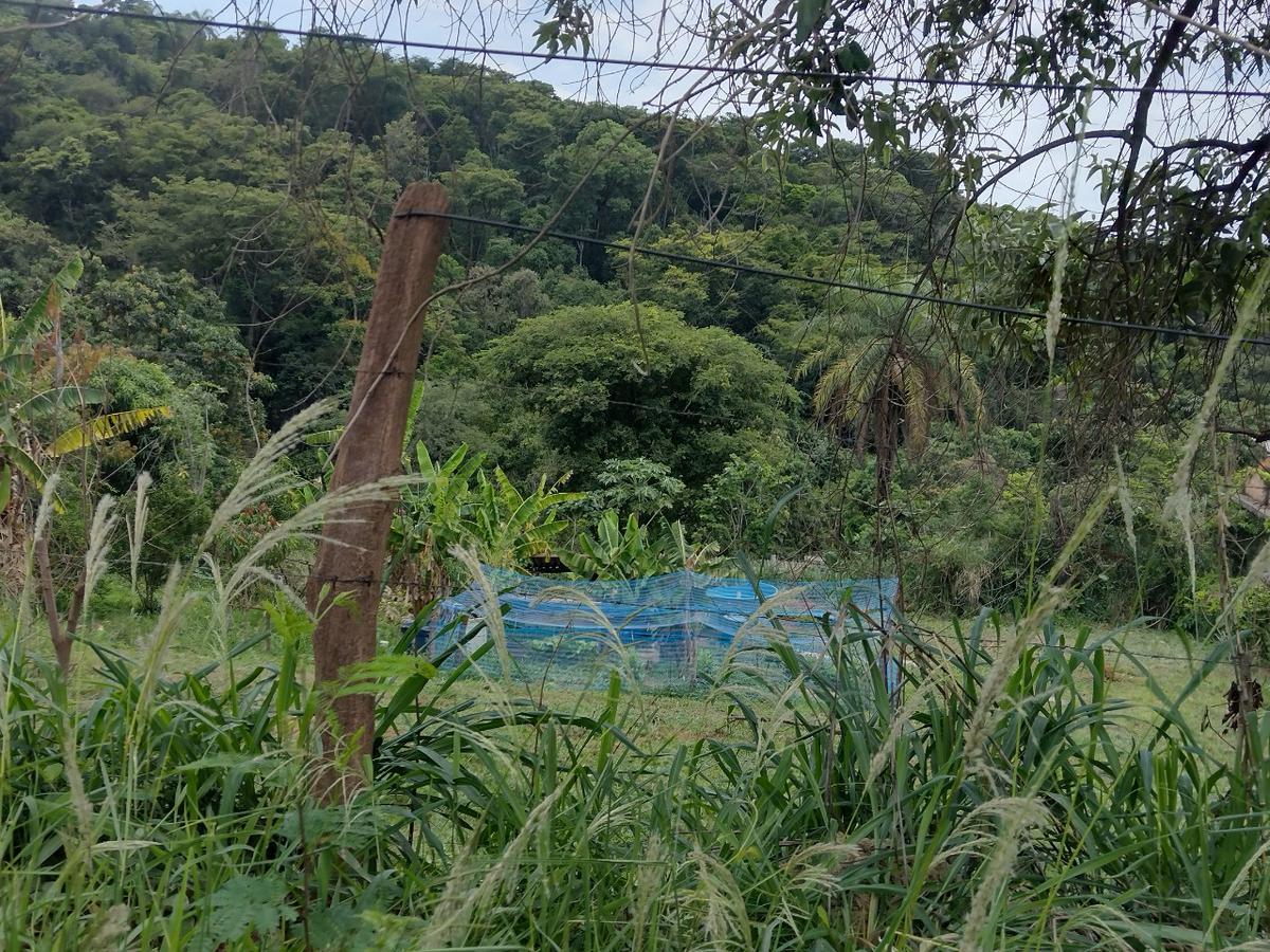 Lote, Zona Rural, 0 Quarto, 0 Vaga