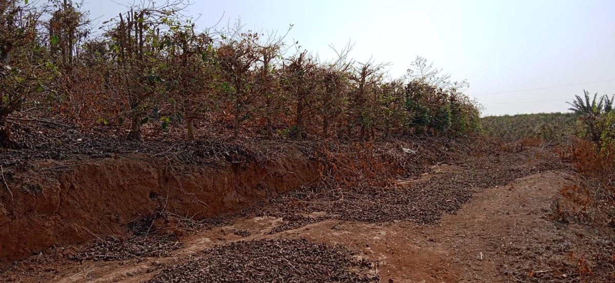 Fazenda, Zona Rural, 0 Quarto, 0 Vaga