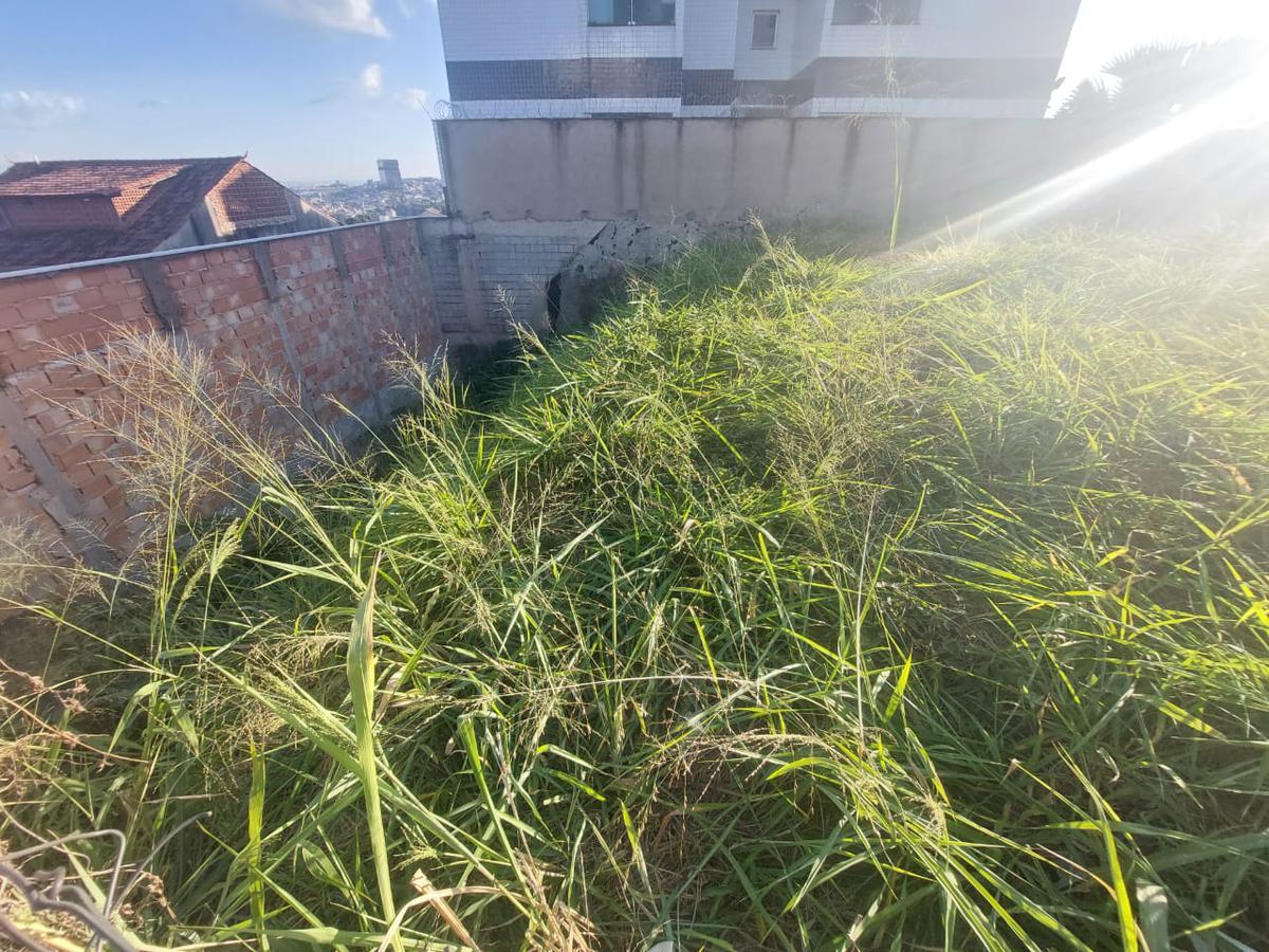 Lote, Cachoeirinha, 0 Quarto, 0 Vaga