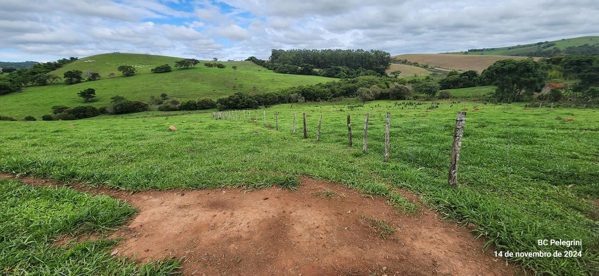 Fazenda, Centro, 3 Quartos, 0 Vaga